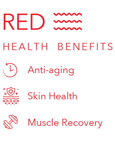 Red Health Benefits with icons for Ambulance, Skin Photo, and Medical Insurance.